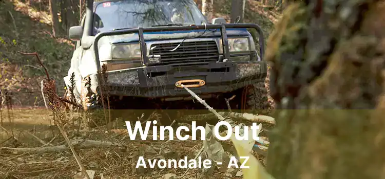 Winch Out Avondale - AZ