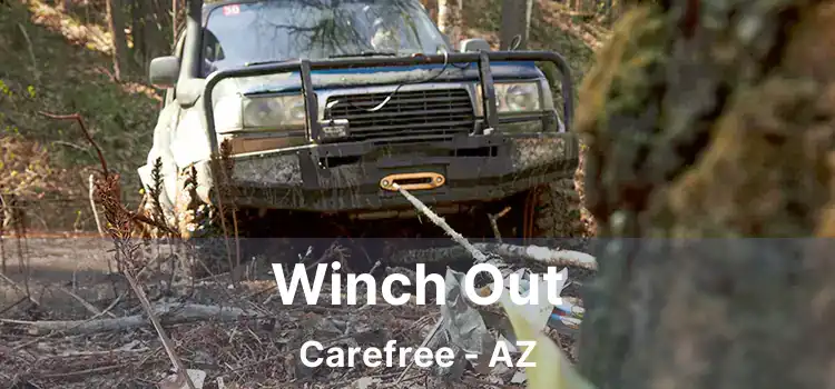 Winch Out Carefree - AZ