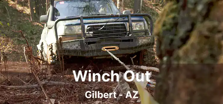 Winch Out Gilbert - AZ