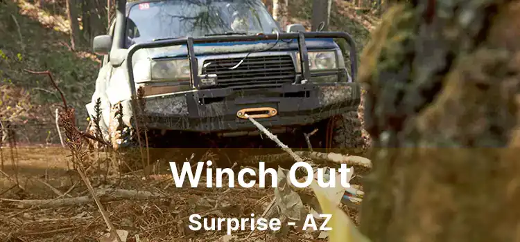 Winch Out Surprise - AZ